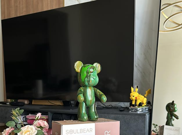 Customer photo review of SOULBEAR - KIT