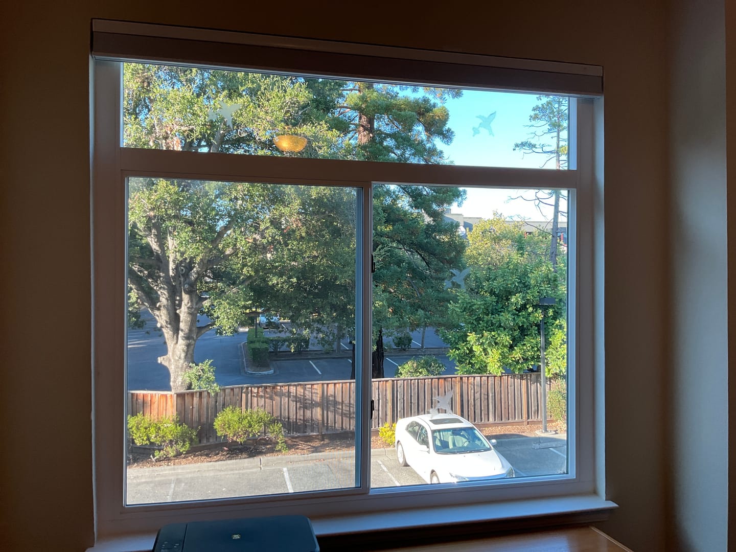 Customer photo review of SmartWings Motorized Blackout Cellular Shades Nowa