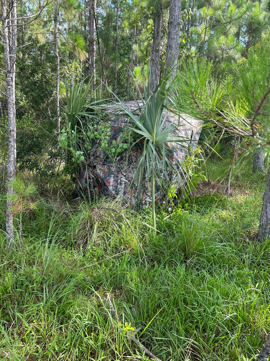 Customer photo review of Hunting Blind 270°See Through with Silent Magnetic Door & Sliding Windows, 2-3 Person Pop Up Ground Blind with Carrying Bag, Portable Durable Hunting Tent for Deer & Turkey Hunting(Camouflage)