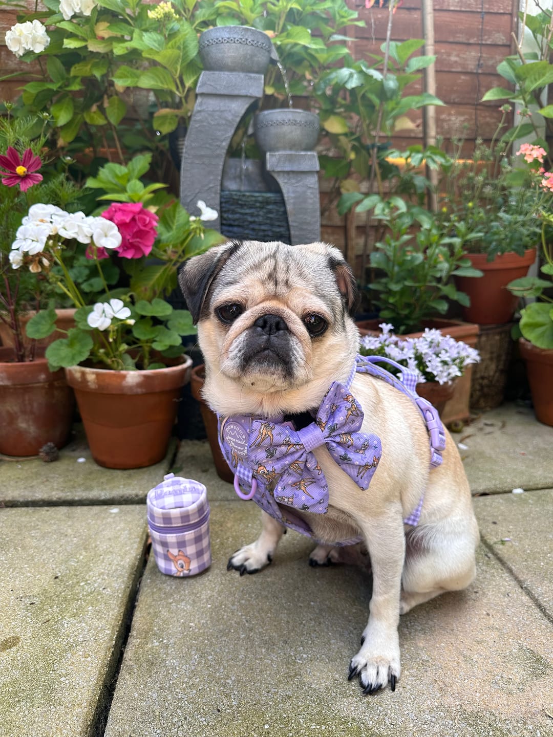 Customer photo review of Disney© Tough Trails™ Harness - Bambi + Friends Lilac