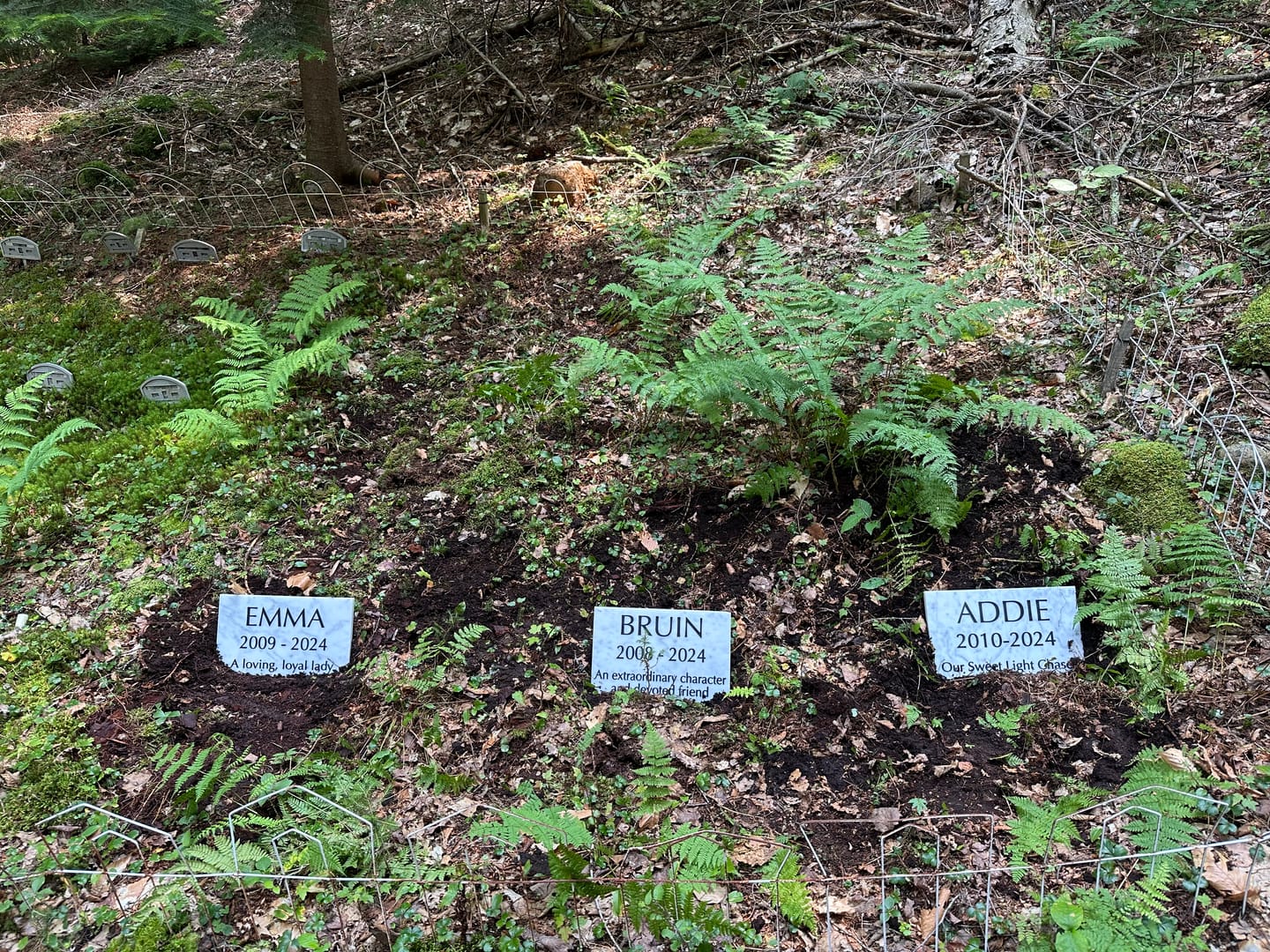 Customer photo review of Marble Marker, Pet headstones, Custom Outdoor Engraved In Loving Memory