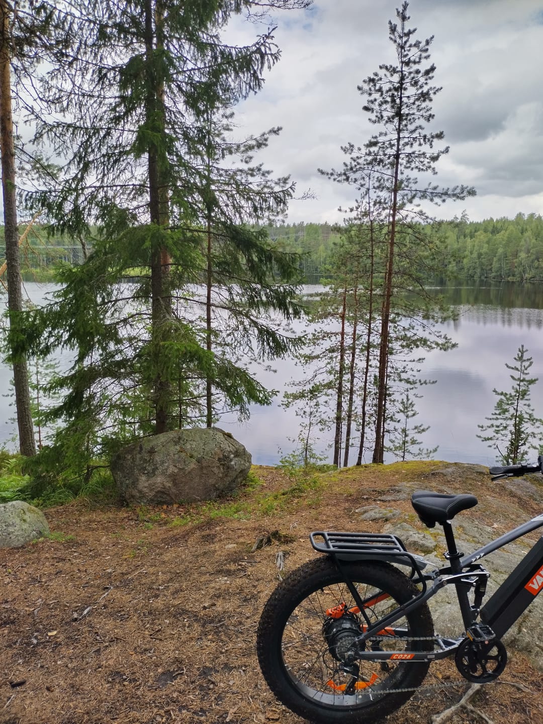 Customer photo review of Vakole CO26 26" 750W Fat Bike Full Suspension E-Mountain Bike 48V 16Ah E-MTB