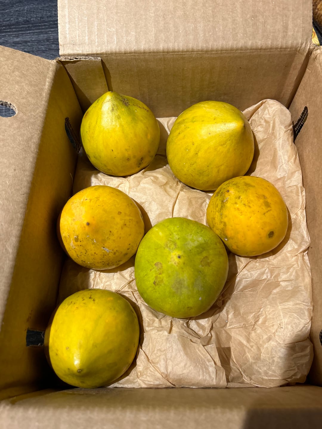 Customer photo review of Eggfruit (Canistel)