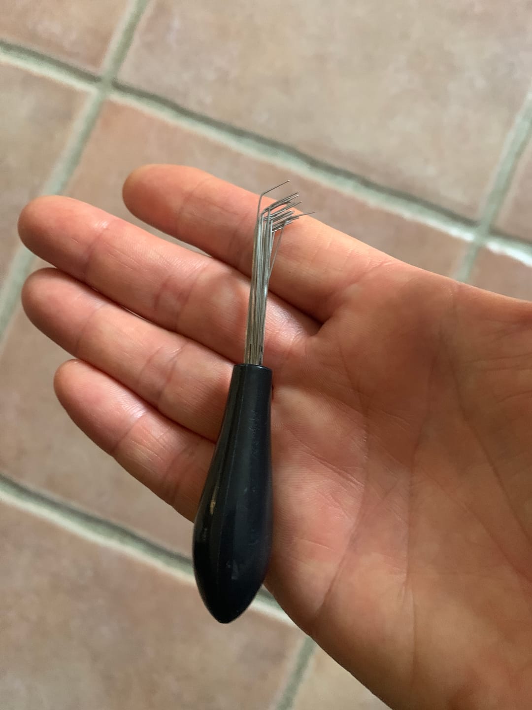 Customer photo review of LE PEIGNE NETTOYEUR