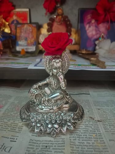 Customer photo review of German Silver Krishna