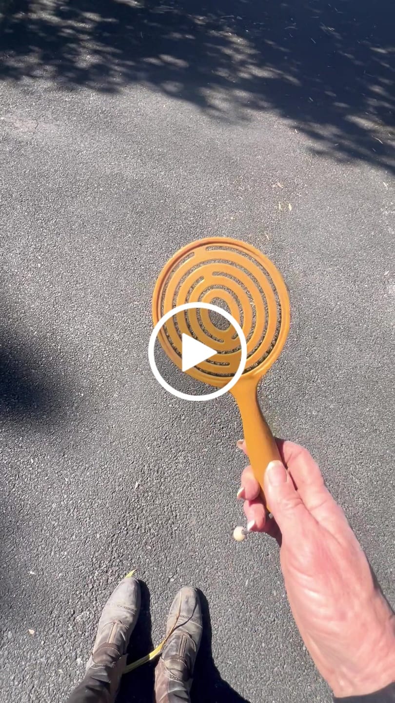 Customer video review of Queen's Brush - Royal Mane & Tail Brush