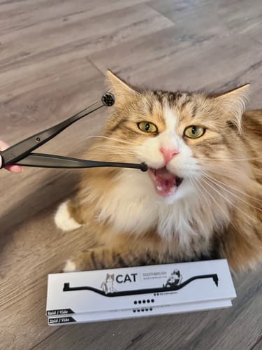 Customer photo review of RYERCAT Dual Sided Cat Toothbrush (Canada)