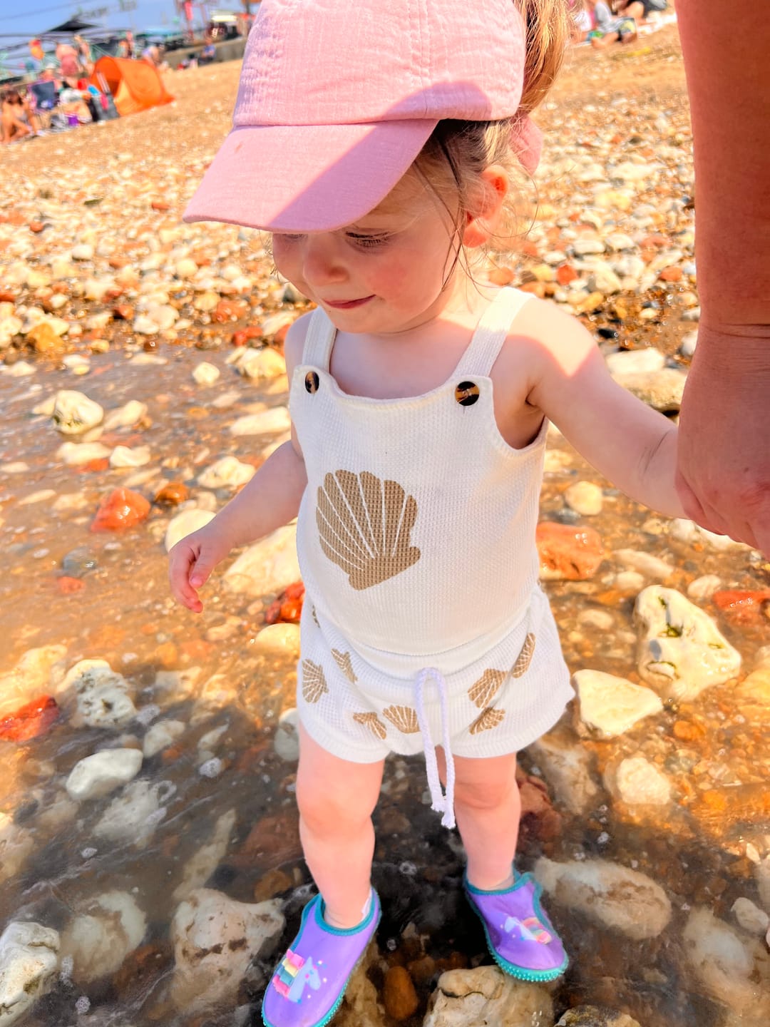 Customer photo review of Seashell Set