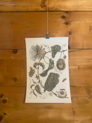 Customer photo review of Giclee Fine Art Prints 11x17