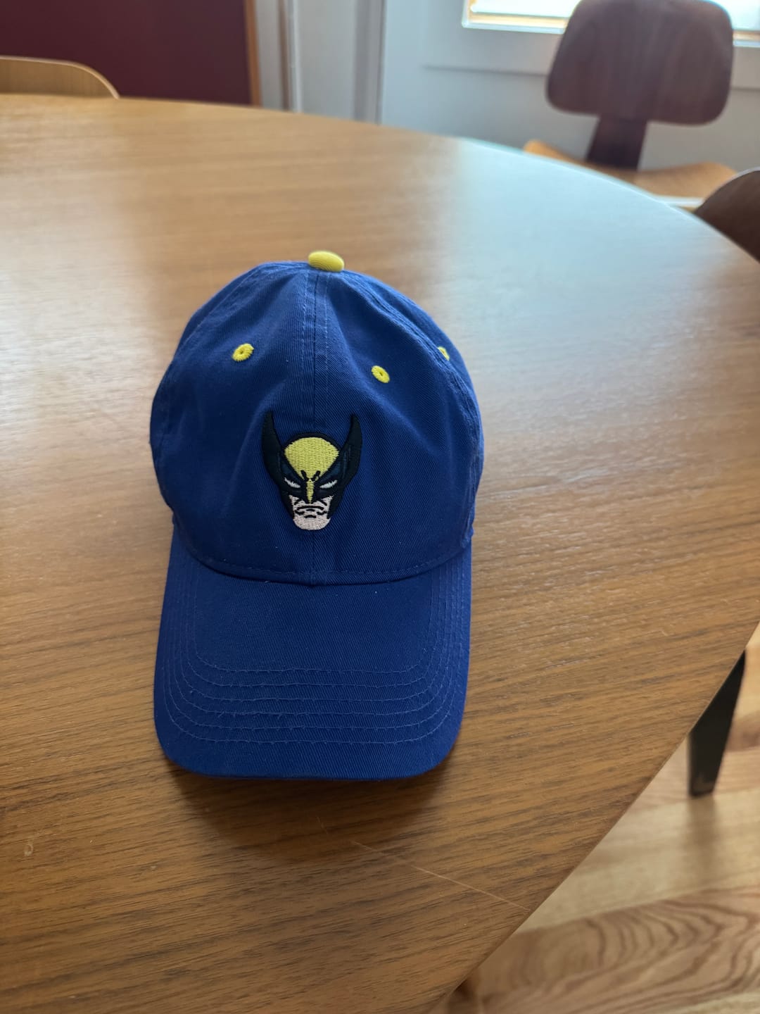 Customer photo review of X-Men "The Logan Lid" – Dad Hat