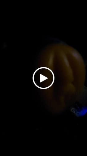 Customer video review of Madison Ivy