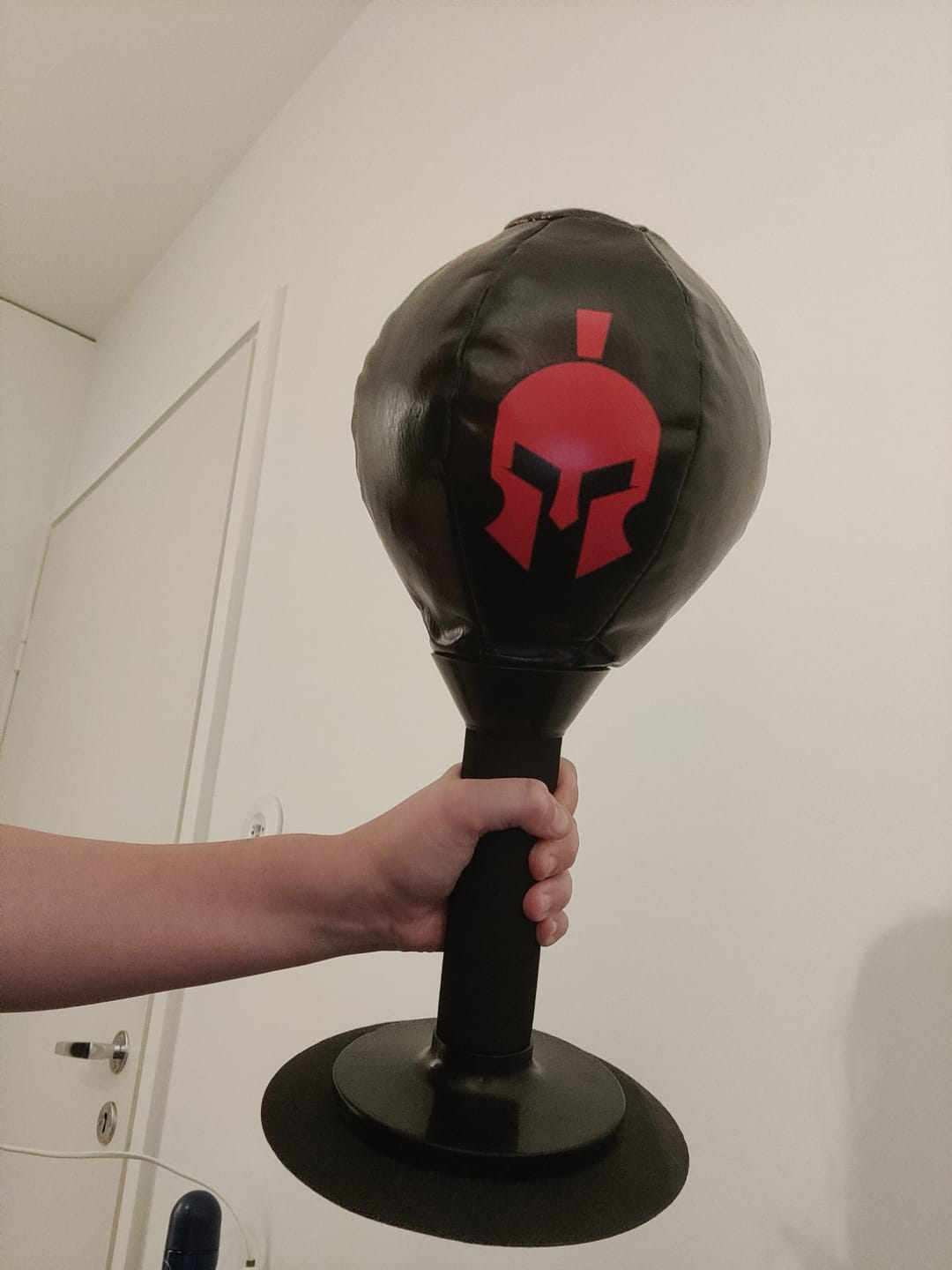 Customer photo review of Sparta Punch Bag