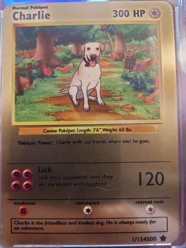 Customer photo review of Pokepet