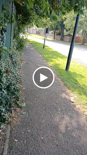 Customer video review of MEEPO FLOW