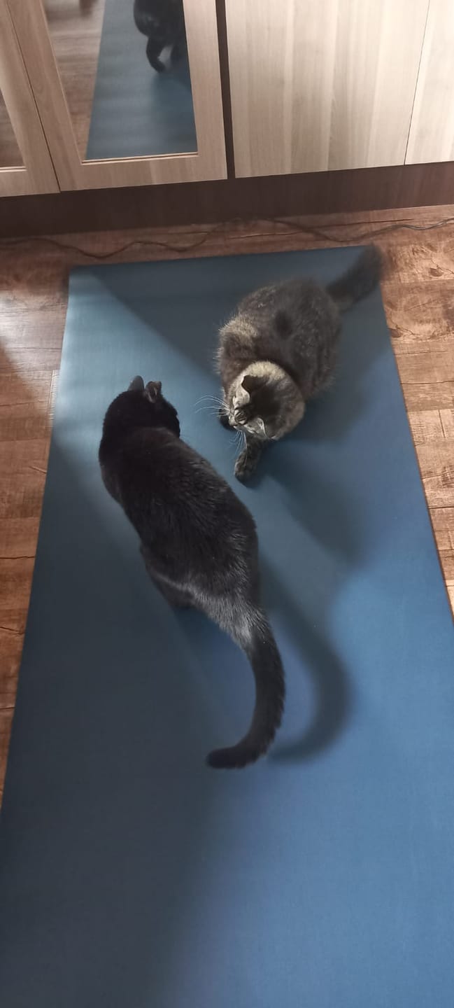 Customer photo review of Tapete de Yoga em PU | PRO 4.5mm