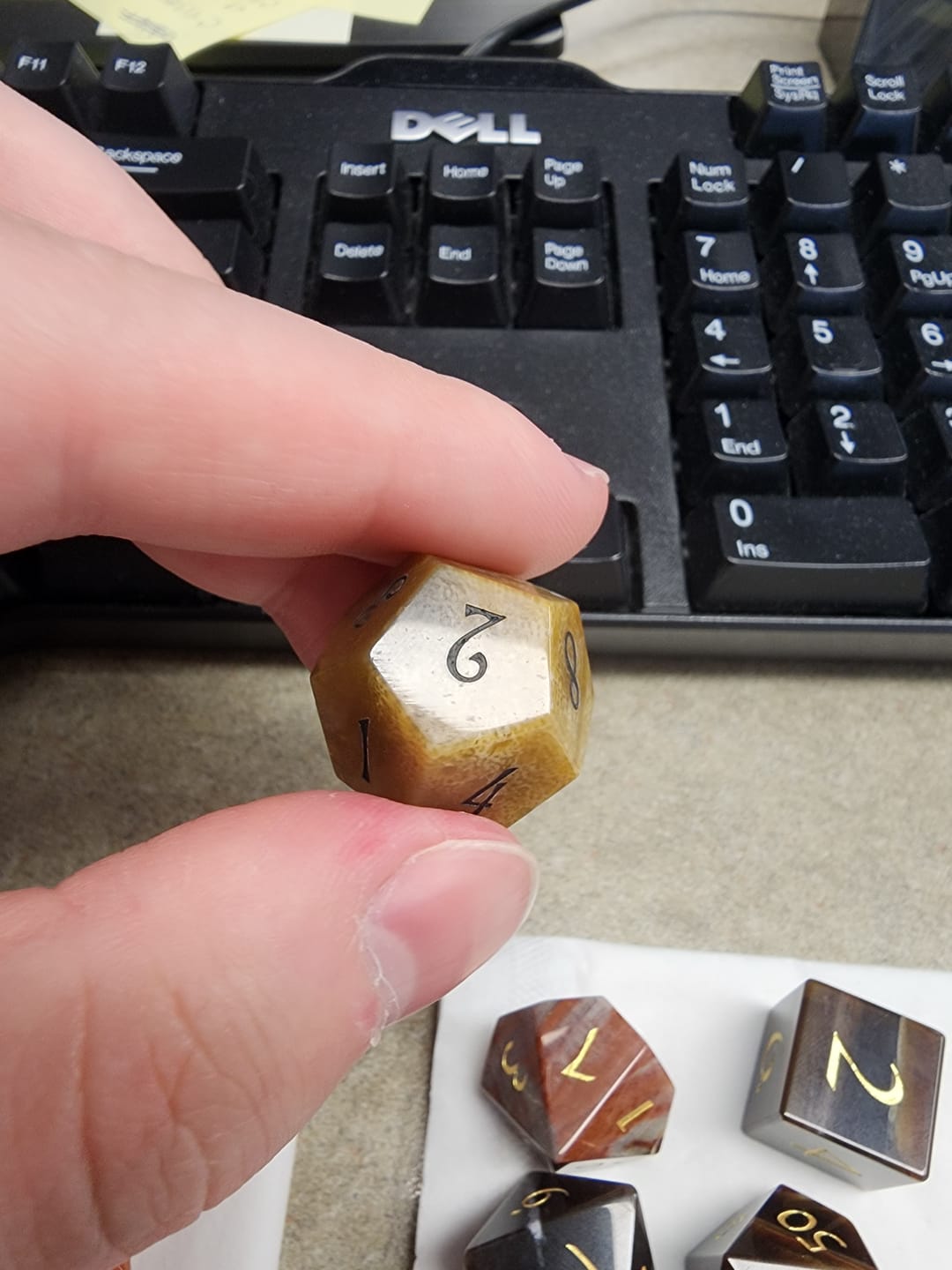 Customer photo review of URWizards D&D Coral Fossil Gemstone Engraved Dice Set