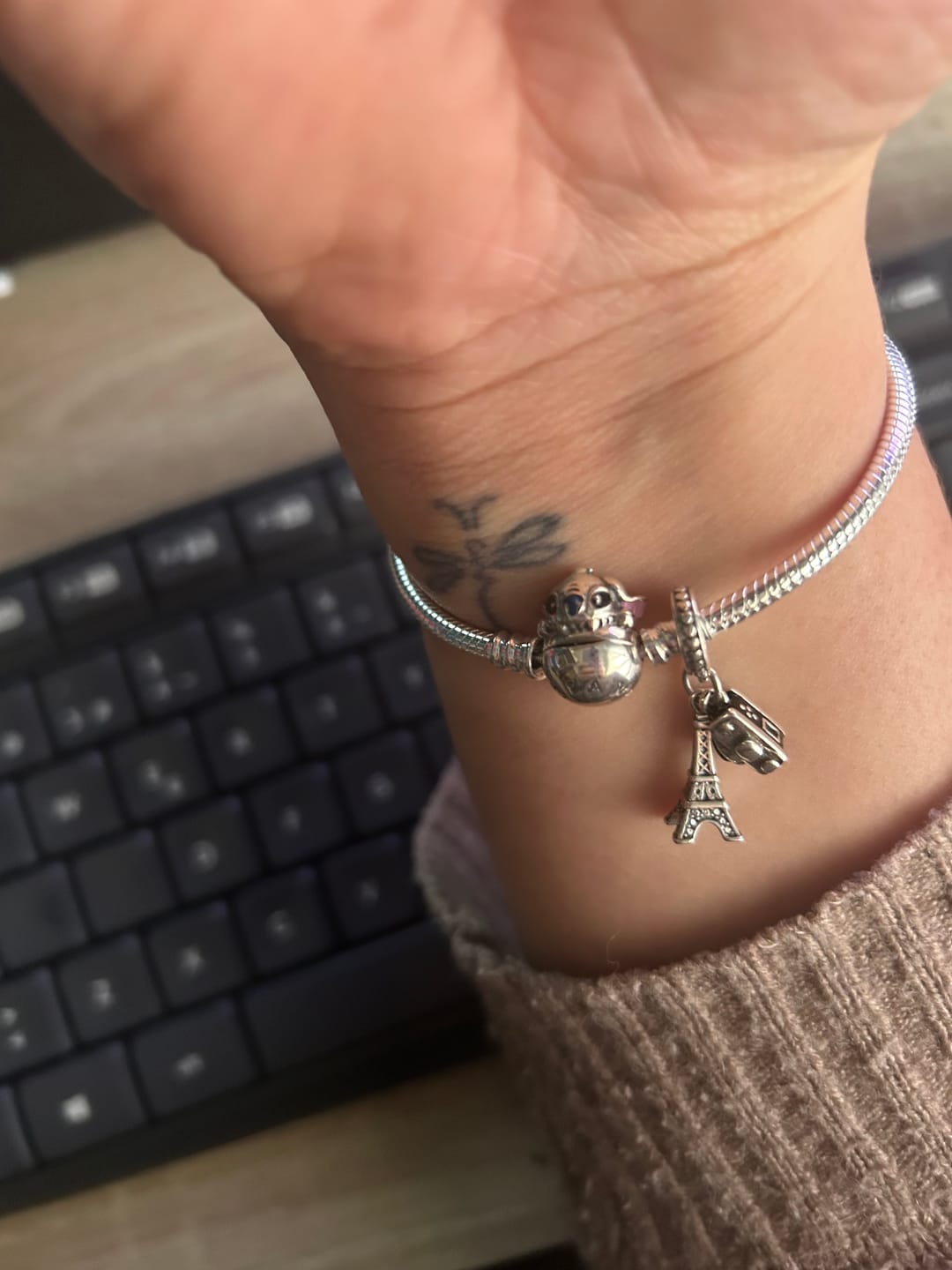 Customer photo review of Charm Paris