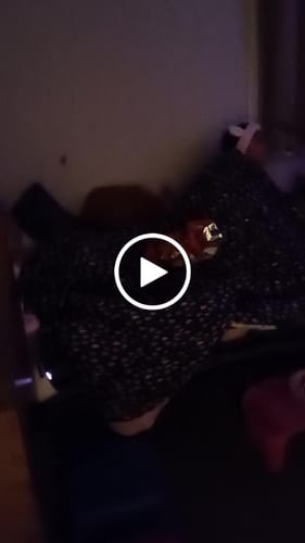 Customer video review of MovieHub™ Ultra HD Gaming Bundle