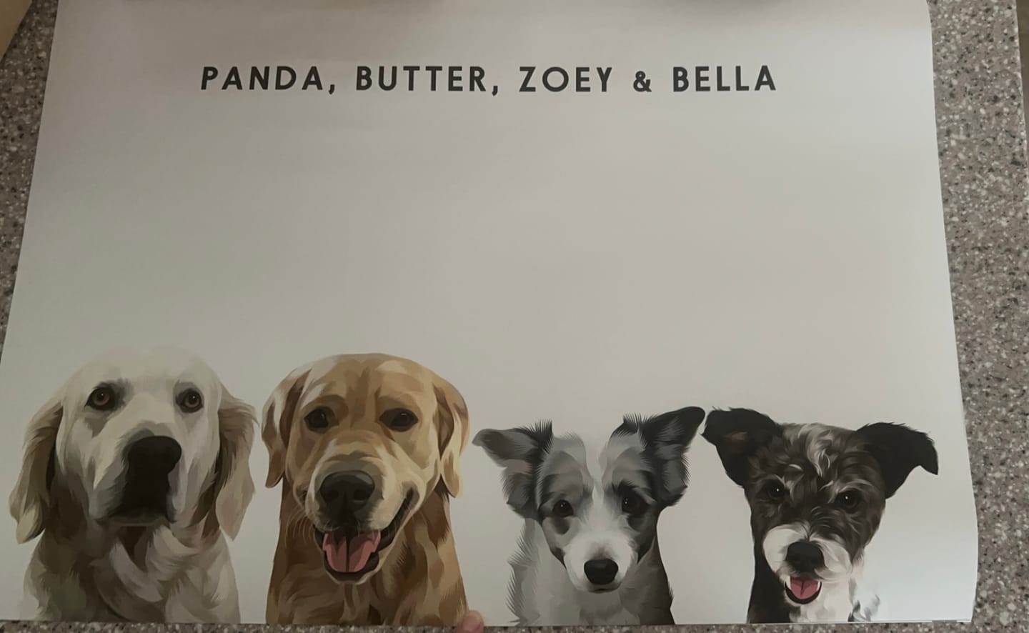 Customer photo review of Custom Four Pet Portrait