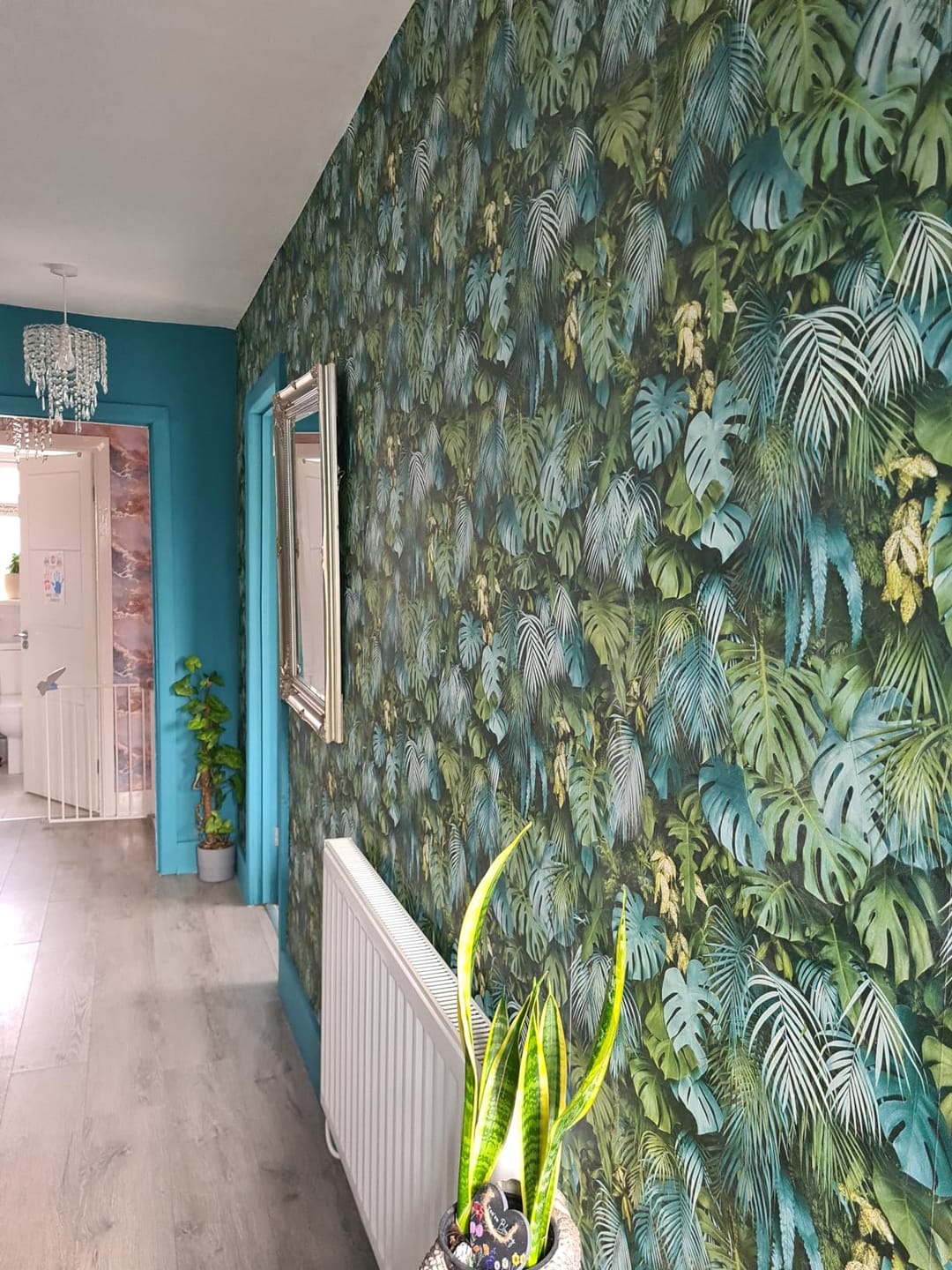 Customer photo review of Monstera Jungle Wallpaper - Blue - Discontinuing.