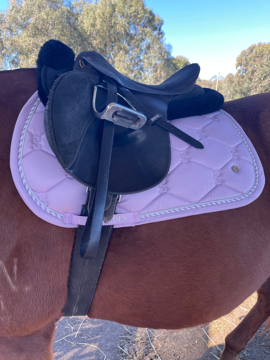 Customer photo review of PSOS Jump Pad Classic, Orchid