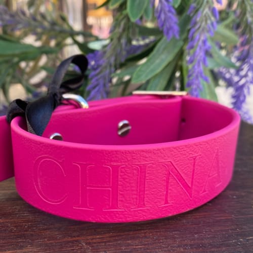 Customer photo review of Magenta Collar