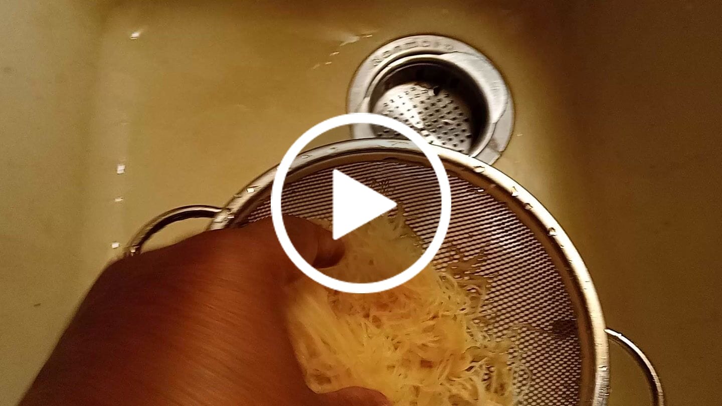 Customer video review of RAW SEA MOSS