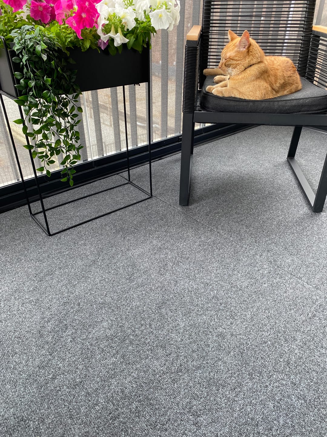Customer photo review of Mallipalat termomatosta, 4 väriä
