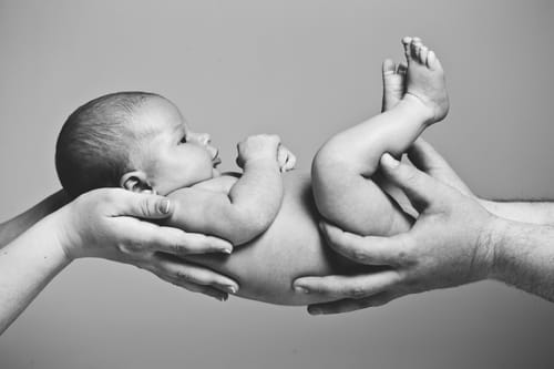 Customer photo review of The 2024 Complete Photoshop and Lightroom Bundle Only $47 With Code: SAVE50