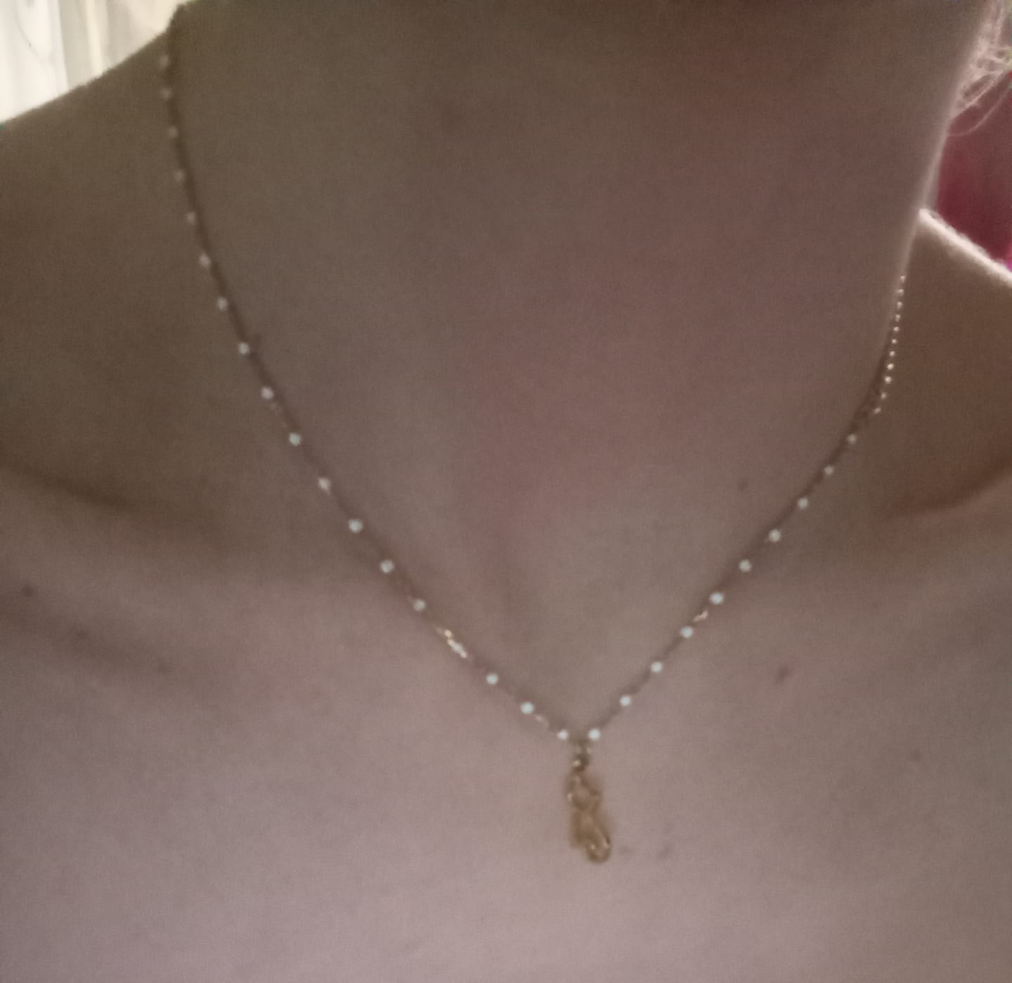Customer photo review of Collar Coco Lace