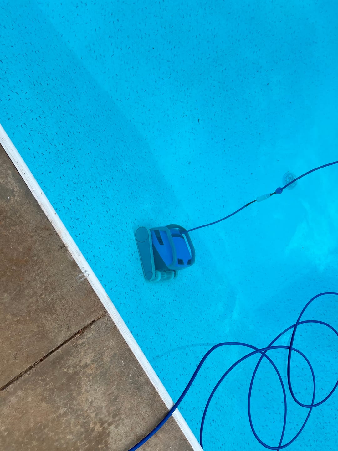 Customer photo review of Ships Next Day New Maytronics Dolphin M600 Robotic Pool Cleaner