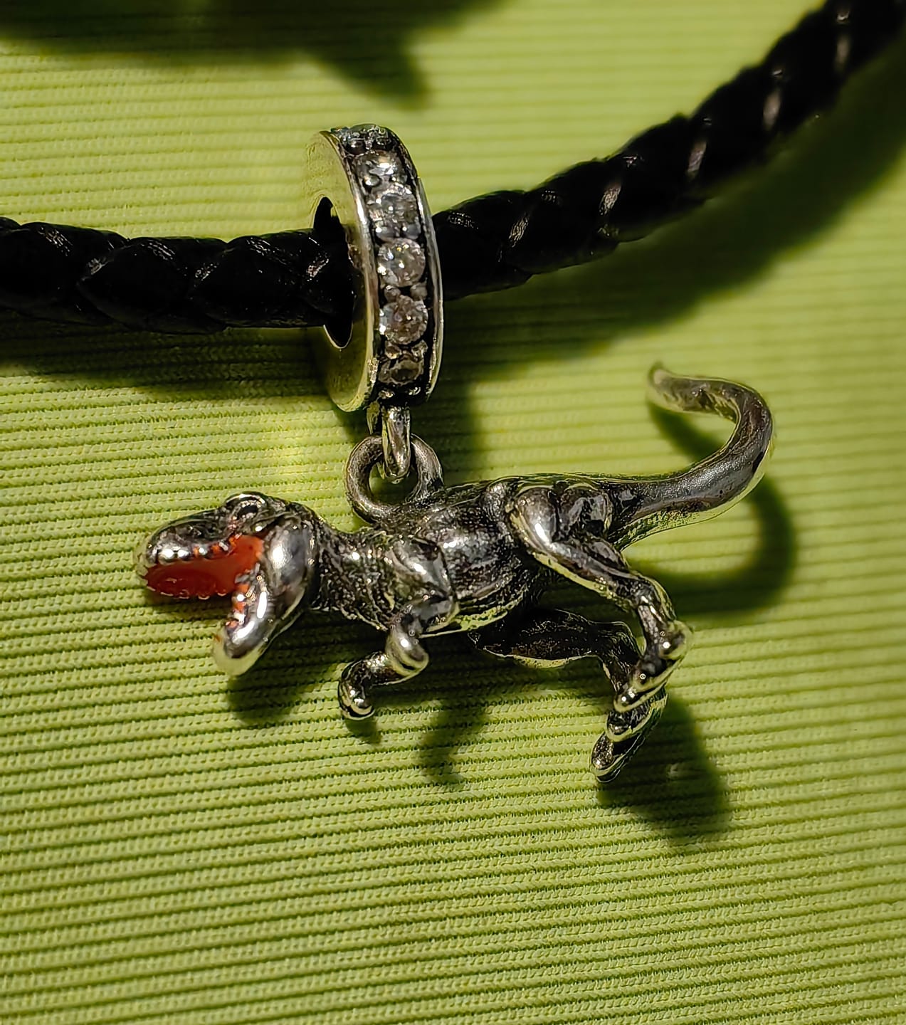 Customer photo review of Charm T-Rex