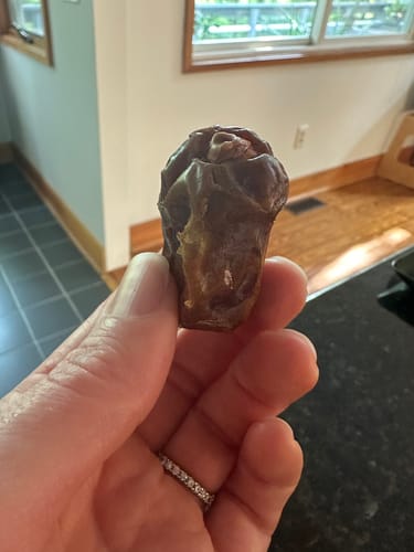 Customer photo review of Organic Premium Medjool Dates Box