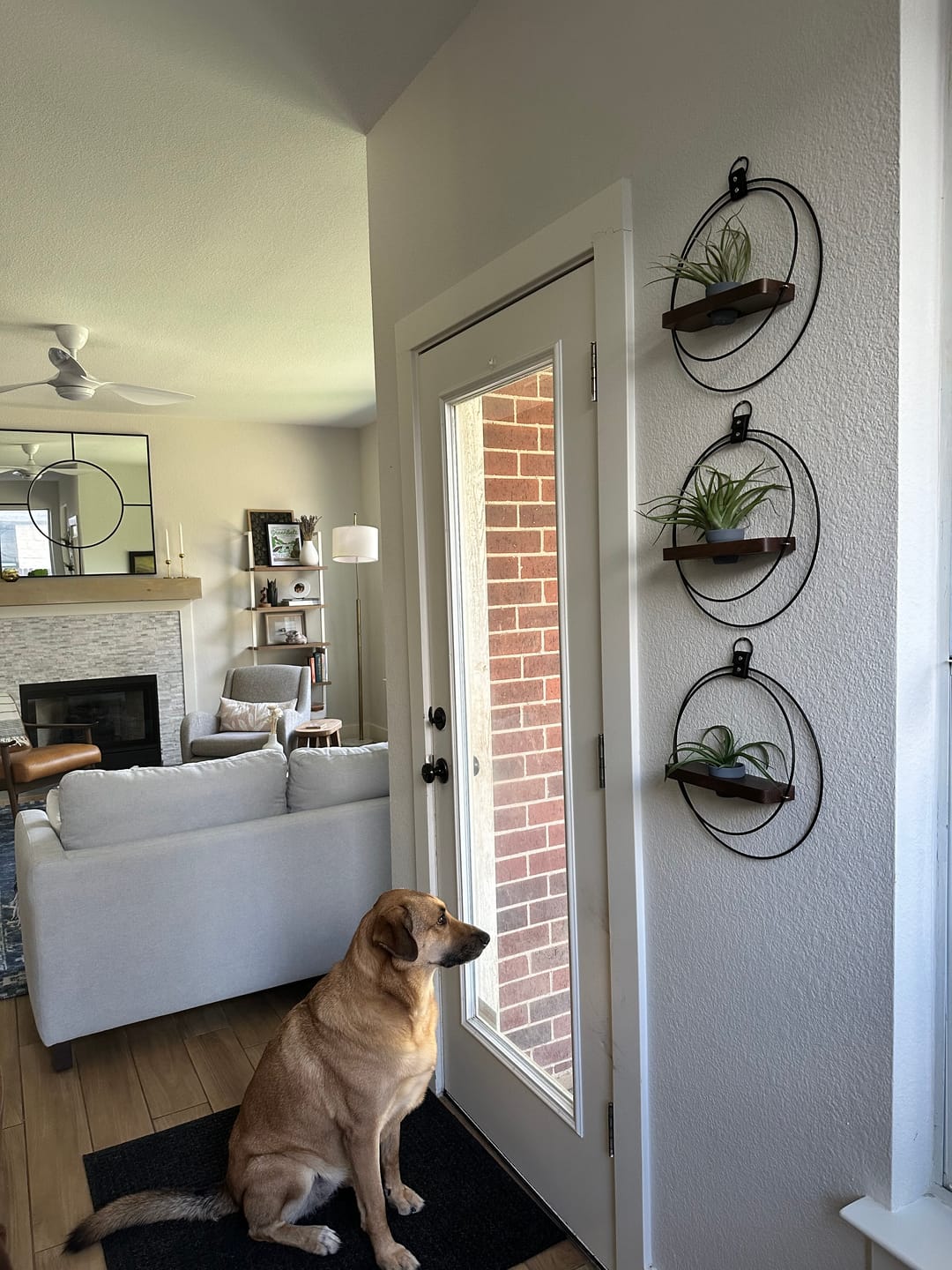Customer photo review of Plant Shelf