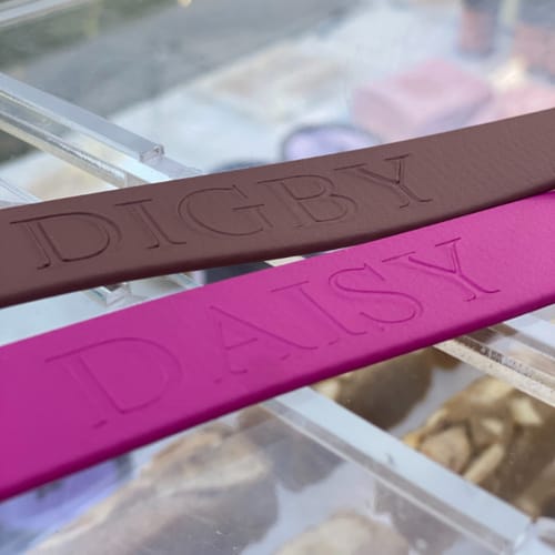 Customer photo review of Magenta Collar