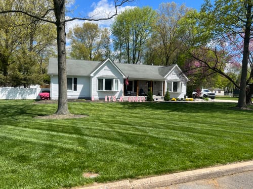 Customer photo review of GCI Turf Ca (Calcium) 1-0-1