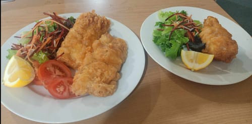 Customer photo review of 5KG Gem Fish Fillets (Skinned and Boned) Frozen