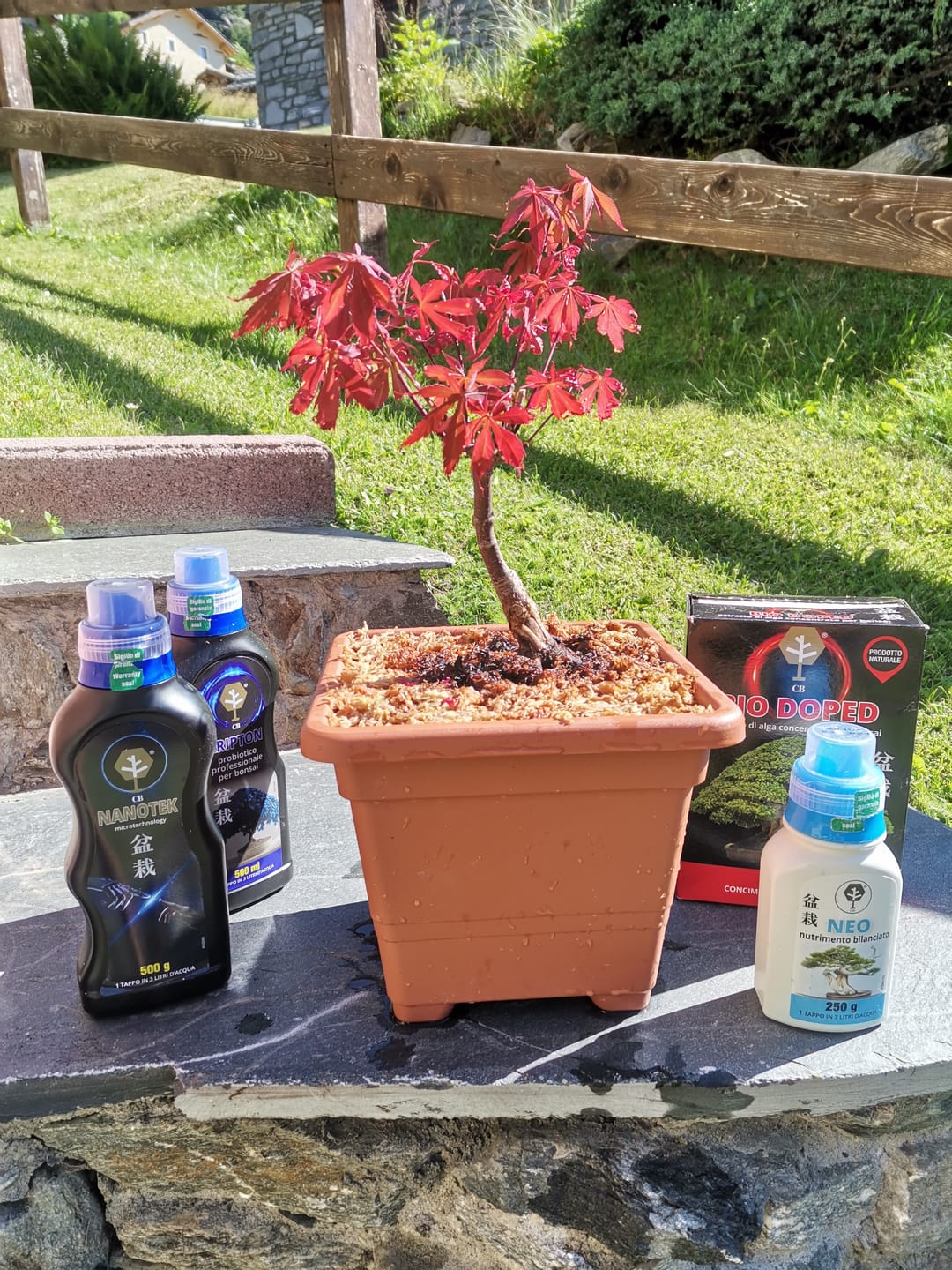 Customer photo review of NEO CB®