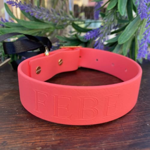 Customer photo review of Coral Collar