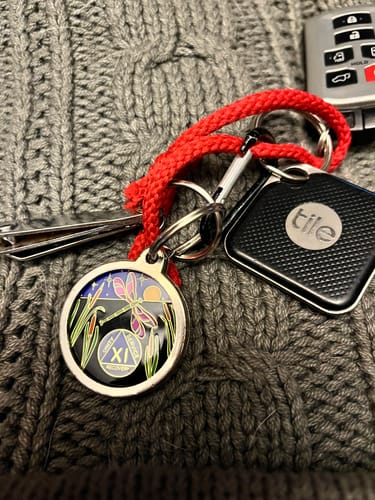 Customer photo review of Dragonfly 9th Step 11 Year Specialty AA Recovery Medallion - Tri-Plated Eleven Year Chip/Coin