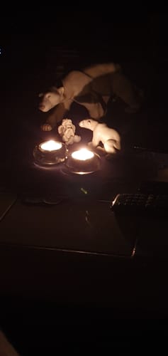 Customer photo review of Bodenablauffilter aus Edelstahl