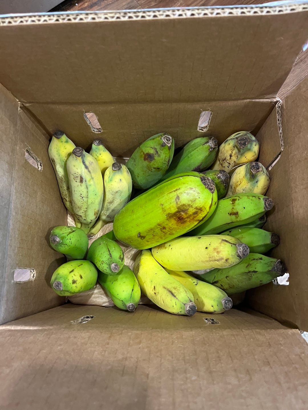 Customer photo review of Banana Variety Box