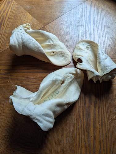 Customer photo review of Cow Ears For Dogs