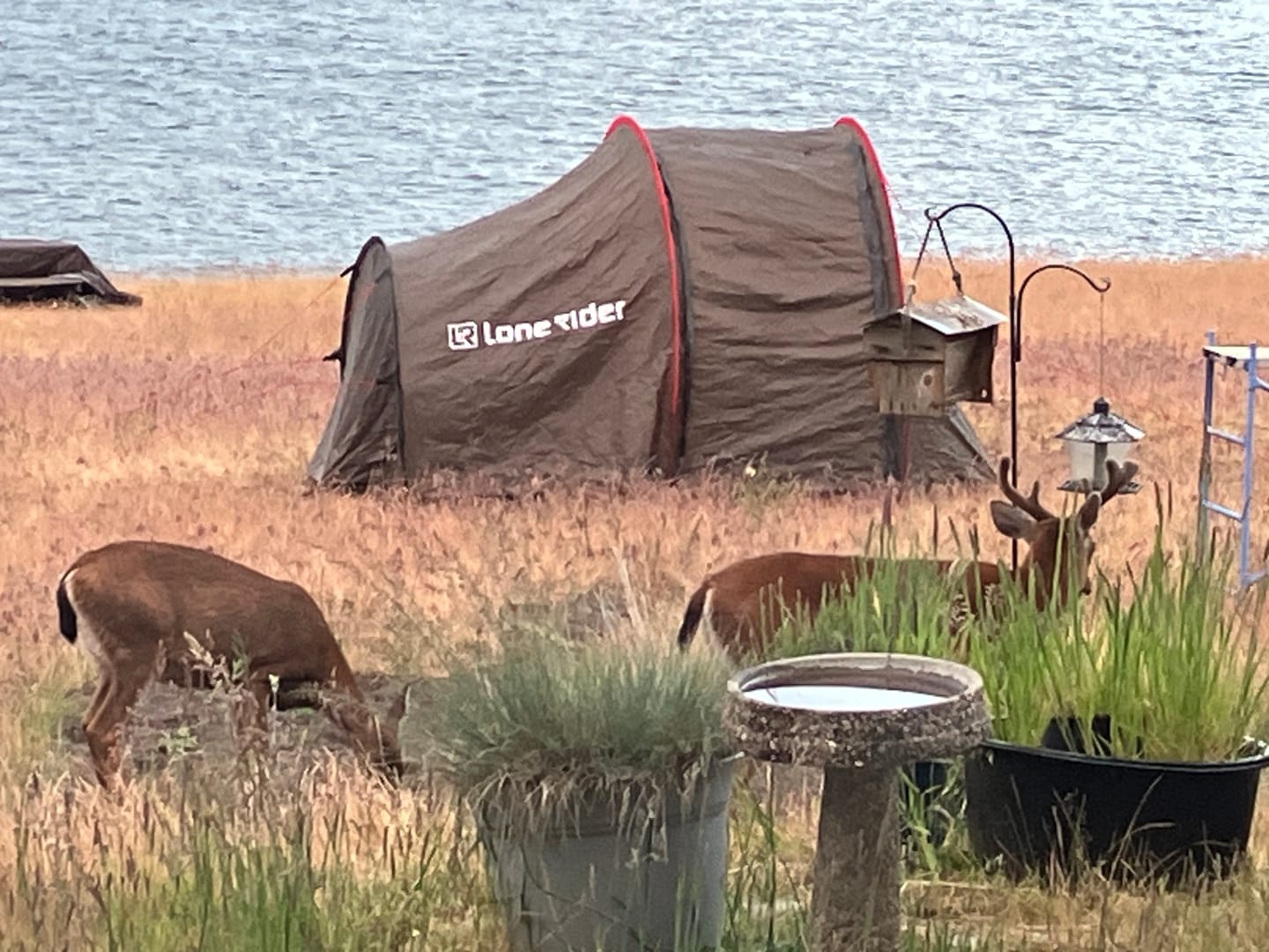 Customer photo review of Big Agnes | Echo Park 40°F