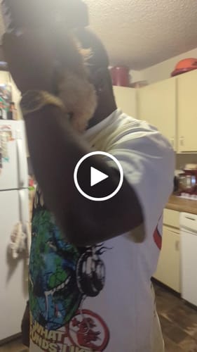 Customer video review of Hellstar Studios Heaven on Earth Short Sleeve Tee