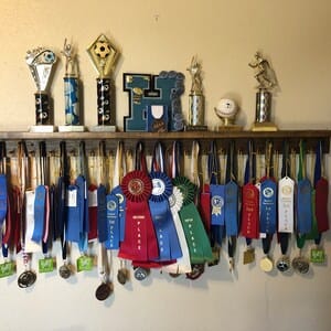 Customer photo review of 4ft Medal Awards Rack Premier Trophy Shelf- Trophy, Plaque and Medal Display