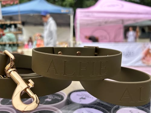 Customer photo review of Olive Leash