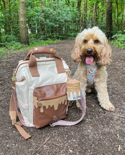 Customer photo review of Hunny Dog Walking Backpack - Winnie The Pooh