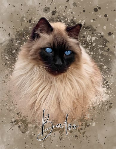Customer photo review of Portrait Aqua Art