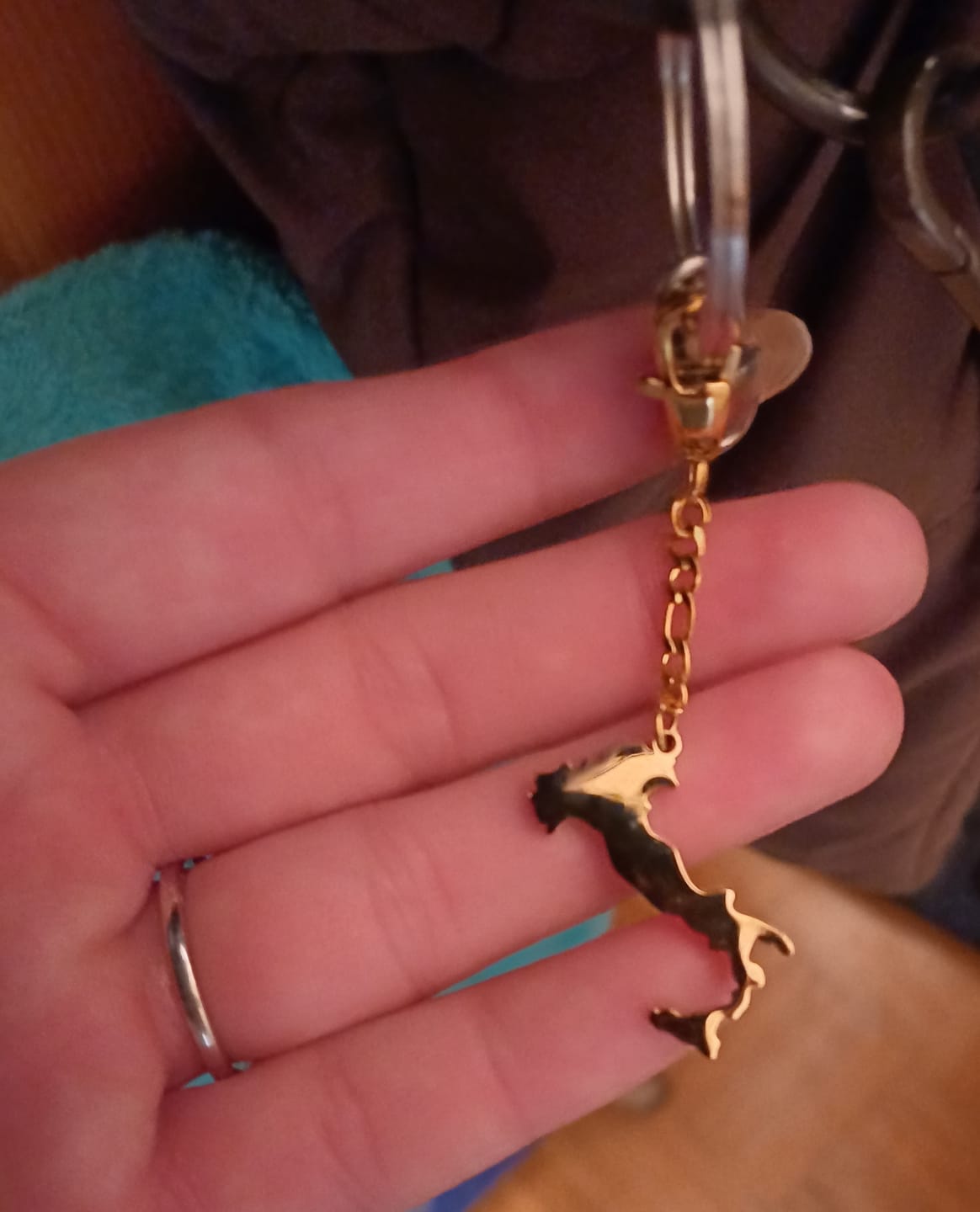 Customer photo review of Nations Schlüssel Anhänger | 18K vergoldet